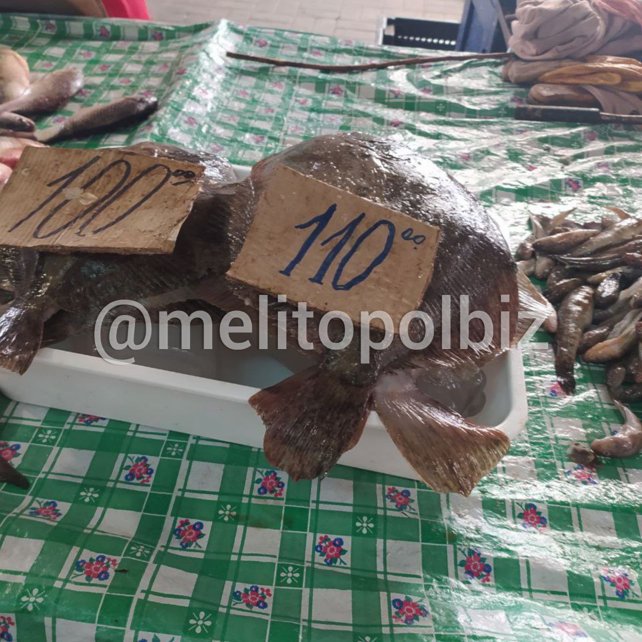 Сколько стоит на рынке в Мелитополе свежая рыба 4